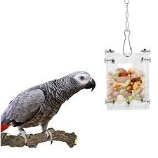 Parrot Foraging Toy
